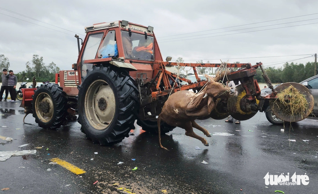 xã Hòa Thịnh - Ảnh 4.