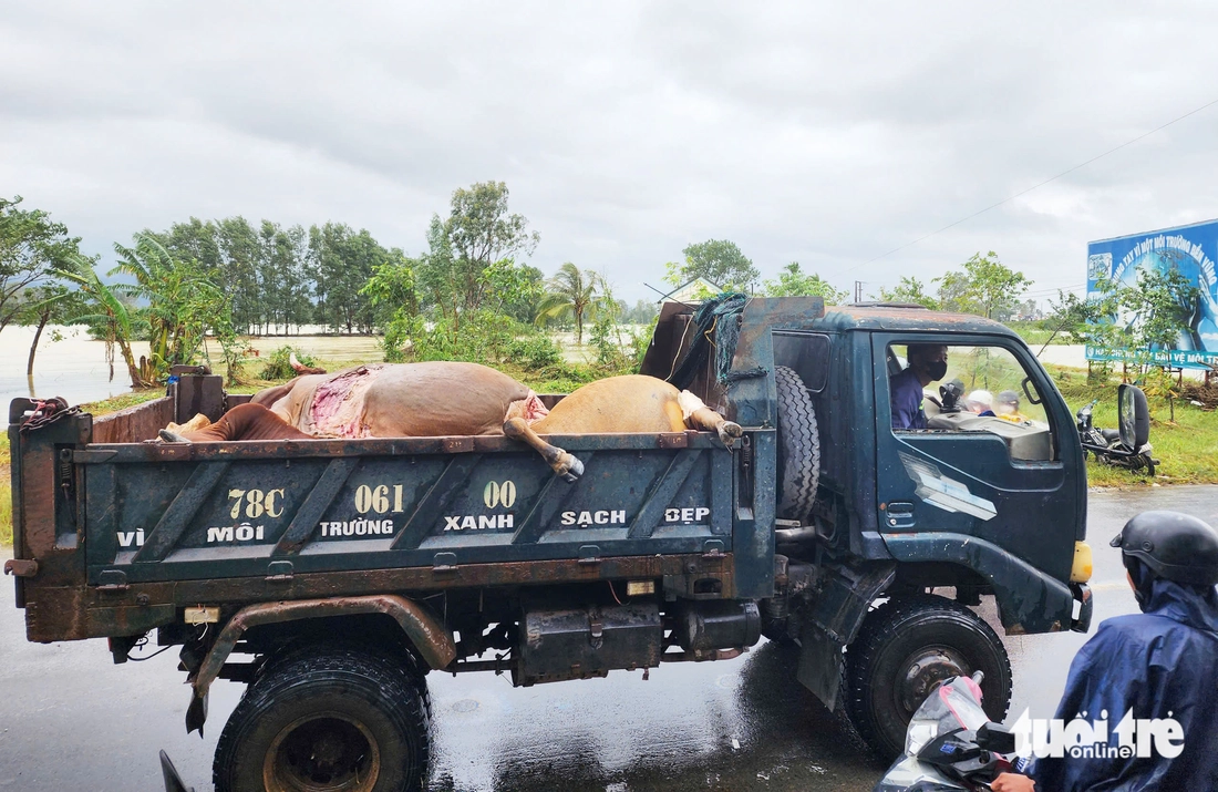 xã Hòa Thịnh - Ảnh 14.