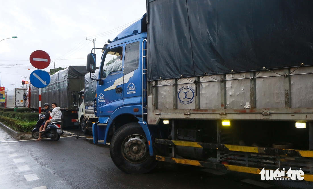 Phú Yên - Ảnh 11.