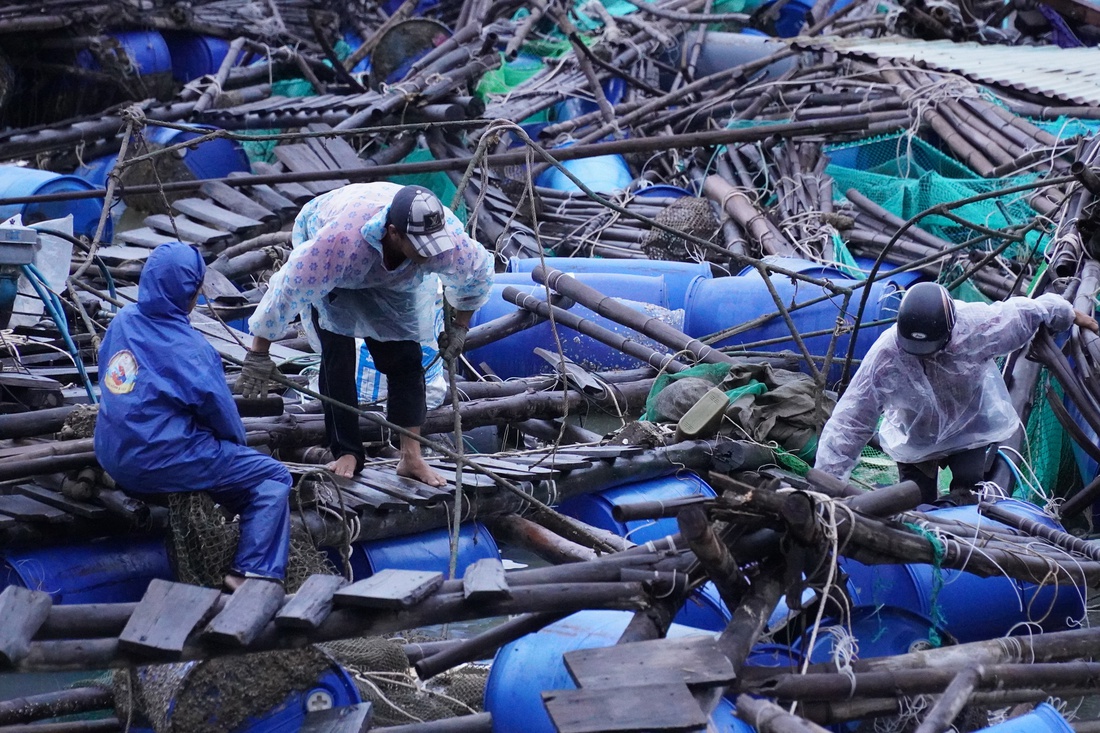 Phú Yên - Ảnh 6.
