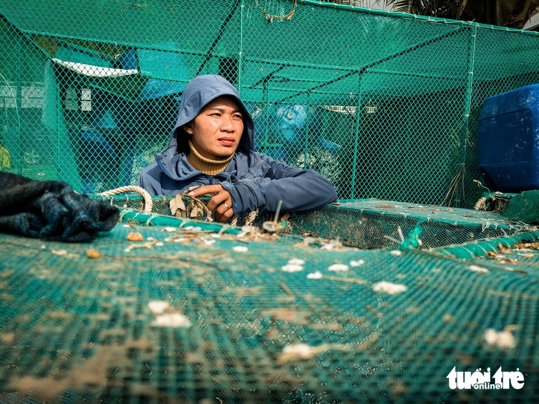 Hơn 3.000 tỉ đồng chìm dưới vịnh Xuân Đài, thủ phủ tôm hùm Sông Cầu tan tác- Ảnh 5.