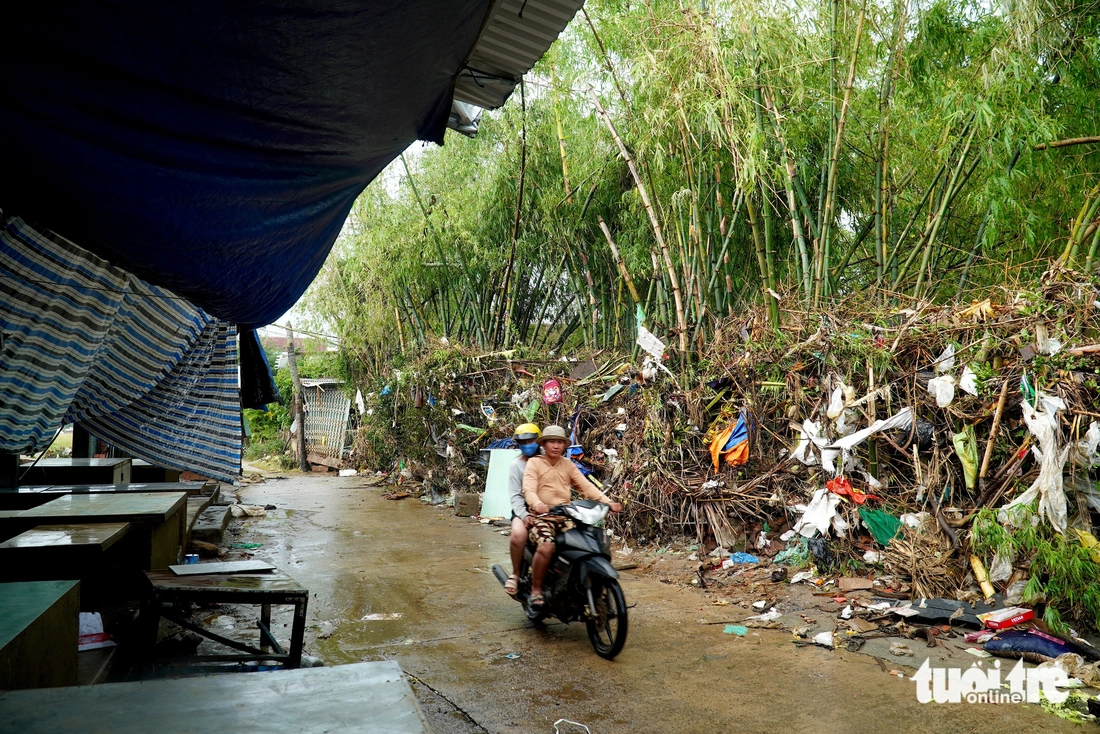 Phú Yên - Ảnh 9.