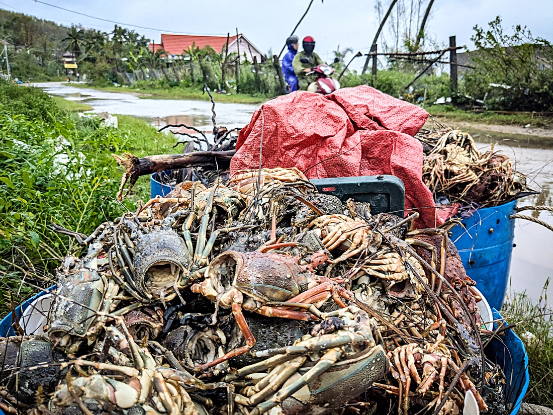 tái thiết - Ảnh 7.