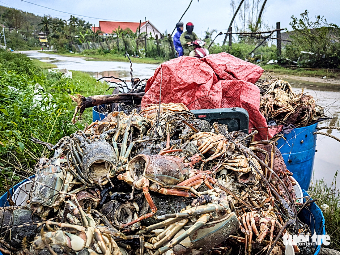 tái thiết - Ảnh 7.