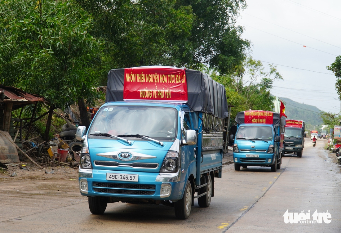 Phú Yên - Ảnh 10.