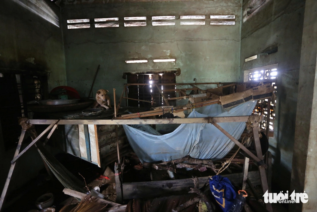 lũ lịch sử - Ảnh 7.