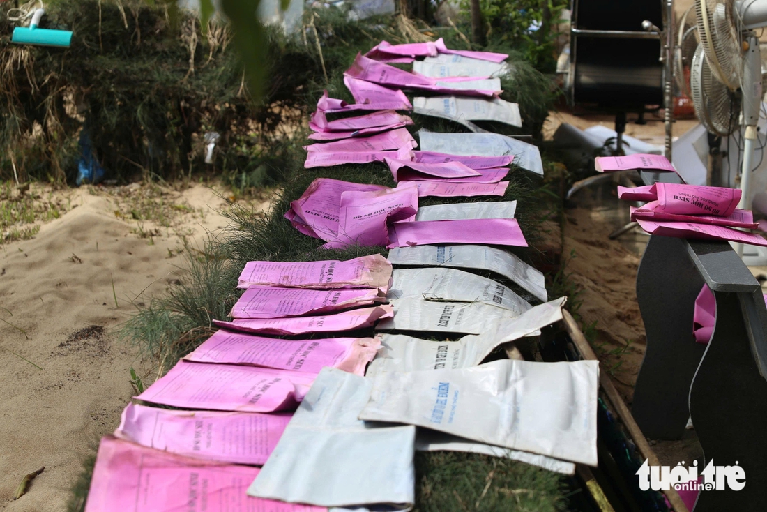 Phú Yên - Ảnh 2.