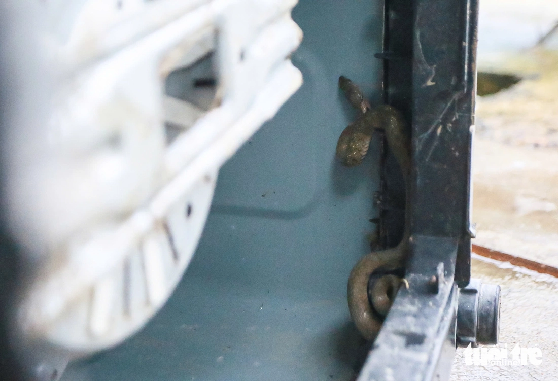 tủ lạnh - Ảnh 4.