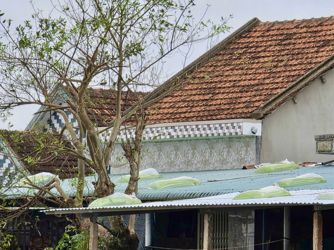 Dân rốn lũ Hòa Thịnh vừa sửa nhà, vừa lo bão tới- Ảnh 10. Hòa Thịnh - Ảnh 10.