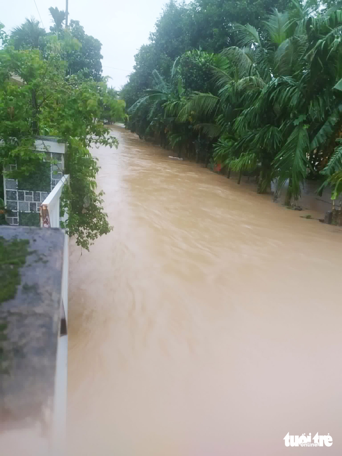 Lũ sông Vu Gia, Thu Bồn lại dâng cao, cảnh báo những nơi nào ngập sâu?- Ảnh 8. sông Vu Gia - Ảnh 6.