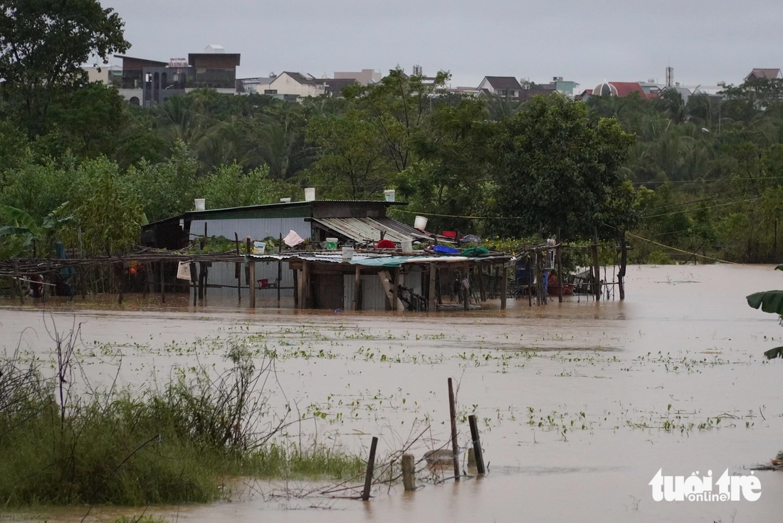 sông Vu Gia - Ảnh 13.