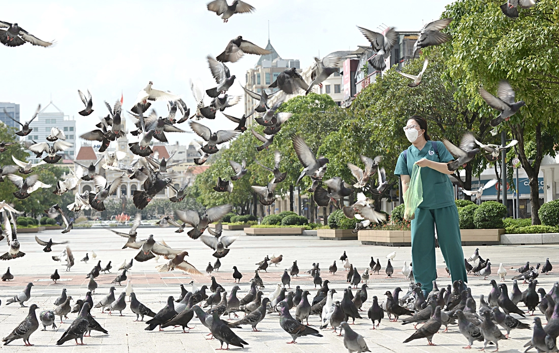 Lời tâm huyết gửi 'biểu tượng đồng lòng vượt qua đại dịch' - Ảnh 3. Đài tưởng niệm nạn nhân COVID-19 - Ảnh 3.