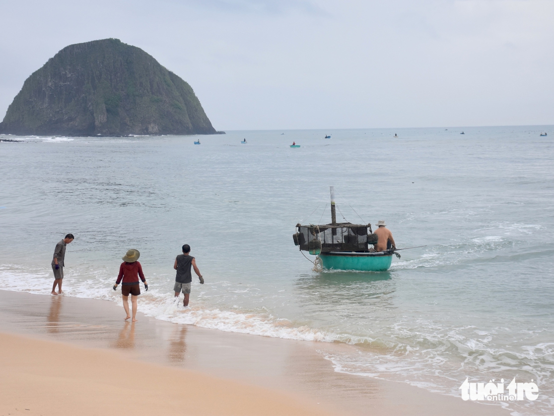 Tất bật đưa tôm hùm 'chạy' bão Kalmaegi- Ảnh 1. Tất bật đưa tôm hùm 'chạy' bão Kalmaegi- Ảnh 1.