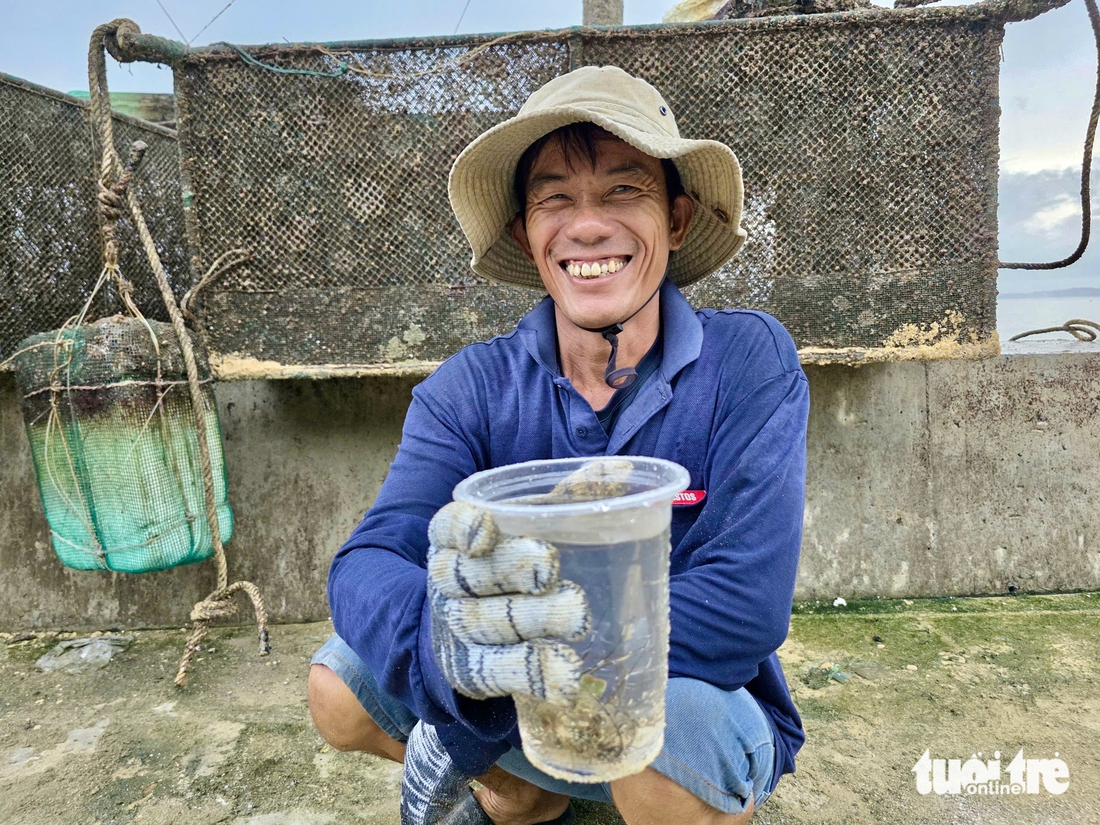 Tất bật đưa tôm hùm 'chạy' bão Kalmaegi- Ảnh 12. Tất bật đưa tôm hùm 'chạy' bão Kalmaegi- Ảnh 12.