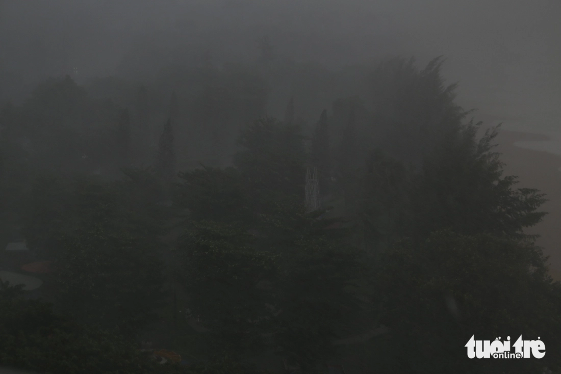 bão kalmaegi - Ảnh 3.