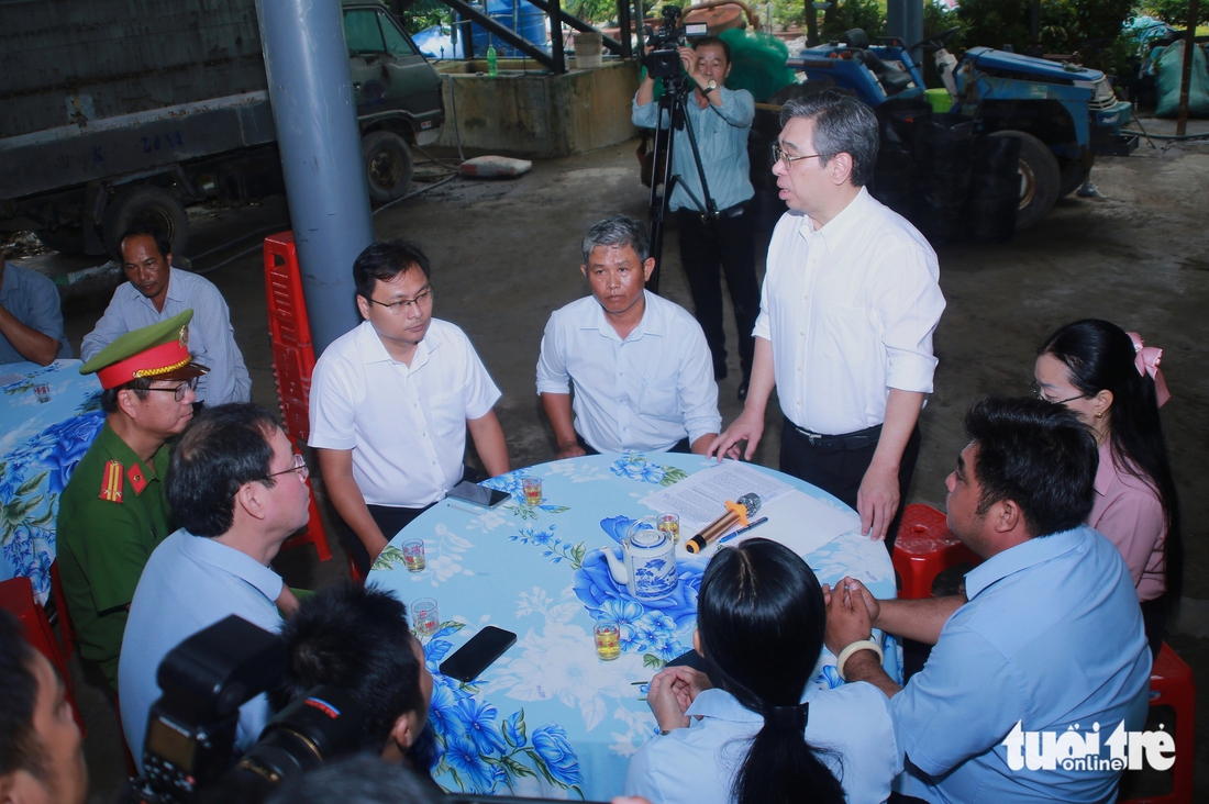 mai vàng - Ảnh 4.