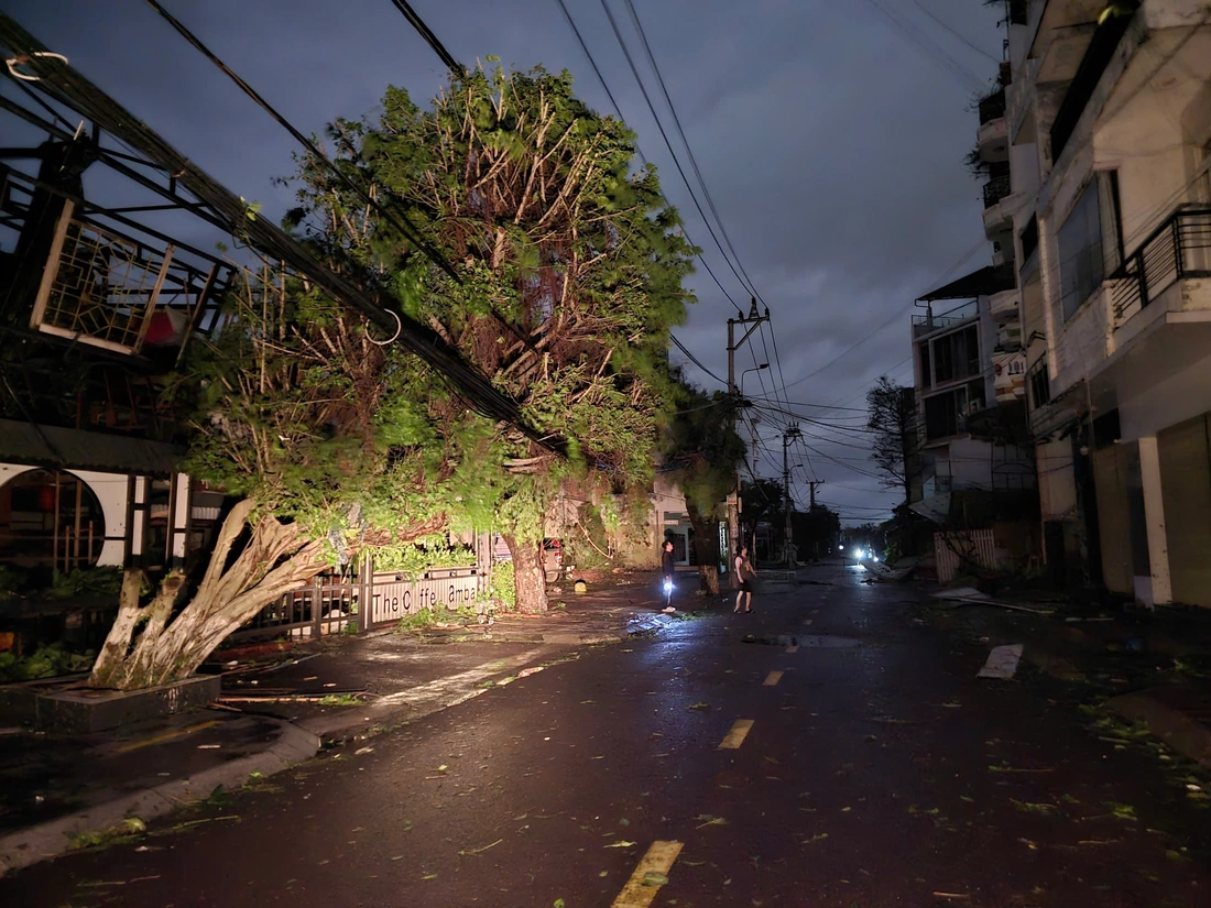 Bão Kalmaegi - Ảnh 5.