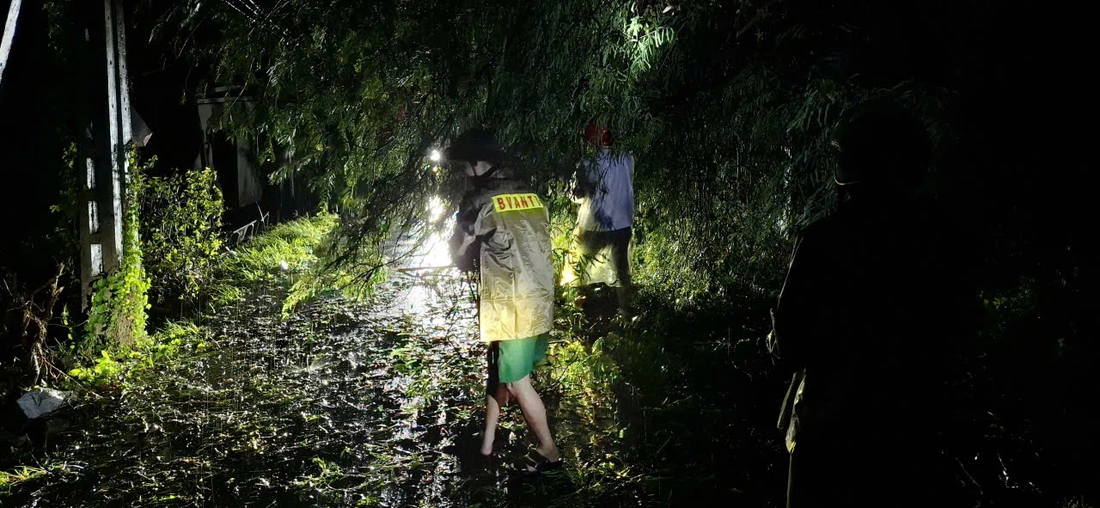 Bão Kalmaegi - Ảnh 3.