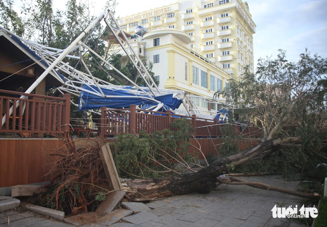 Sau bão Kalmaegi, nhiều nơi ở Quy Nhơn tan hoang, cây cối, trụ điện nằm la liệt- Ảnh 1. Sau bão Kalmaegi, nhiều nơi ở Quy Nhơn tan hoang, cây cối, trụ điện nằm la liệt - Ảnh 1.