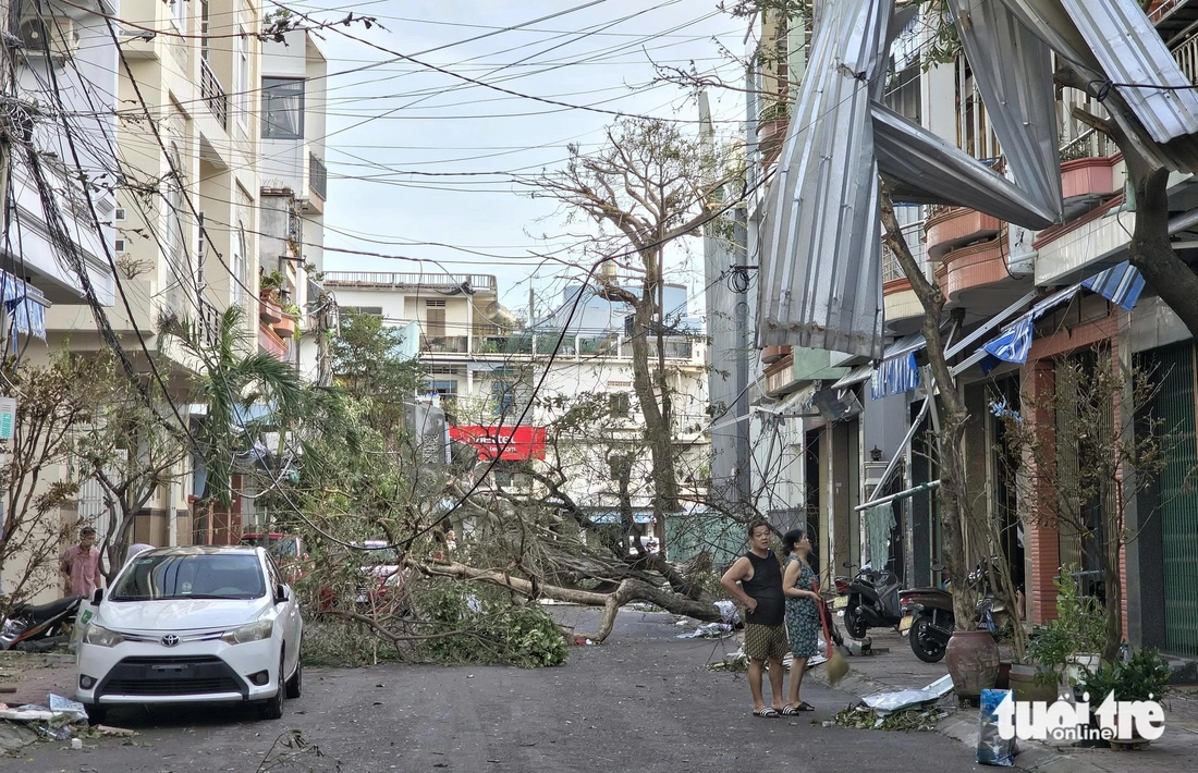 Sau bão Kalmaegi, nhiều nơi ở Quy Nhơn tan hoang, cây cối, trụ điện nằm la liệt- Ảnh 4. Sau bão Kalmaegi, nhiều nơi ở Quy Nhơn tan hoang, cây cối, trụ điện nằm la liệt- Ảnh 4.