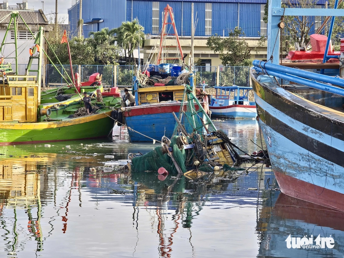 Sau bão Kalmaegi, nhiều nơi ở Quy Nhơn tan hoang, cây cối, trụ điện nằm la liệt- Ảnh 6. Sau bão Kalmaegi, nhiều nơi ở Quy Nhơn tan hoang, cây cối, trụ điện nằm la liệt- Ảnh 6.