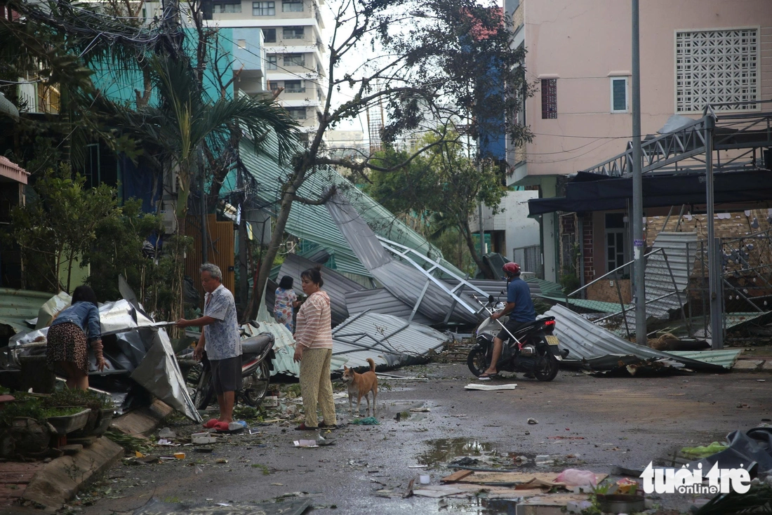 Sau bão Kalmaegi, nhiều nơi ở Quy Nhơn tan hoang, cây cối, trụ điện nằm la liệt- Ảnh 10. Sau bão Kalmaegi, nhiều nơi ở Quy Nhơn tan hoang, cây cối, trụ điện nằm la liệt- Ảnh 10.