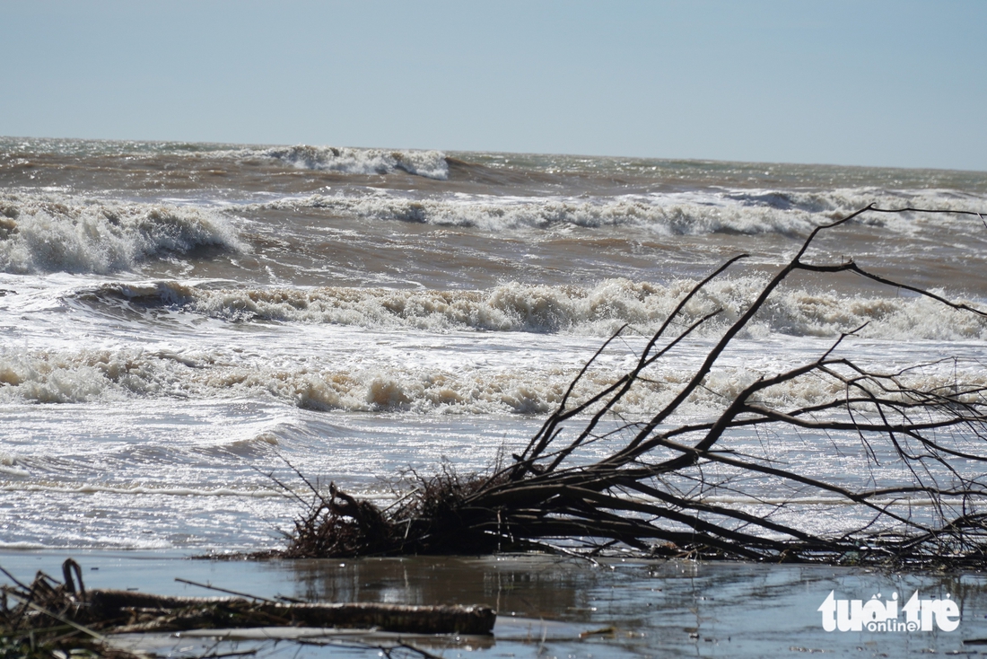 Quảng Ngãi - Ảnh 5.