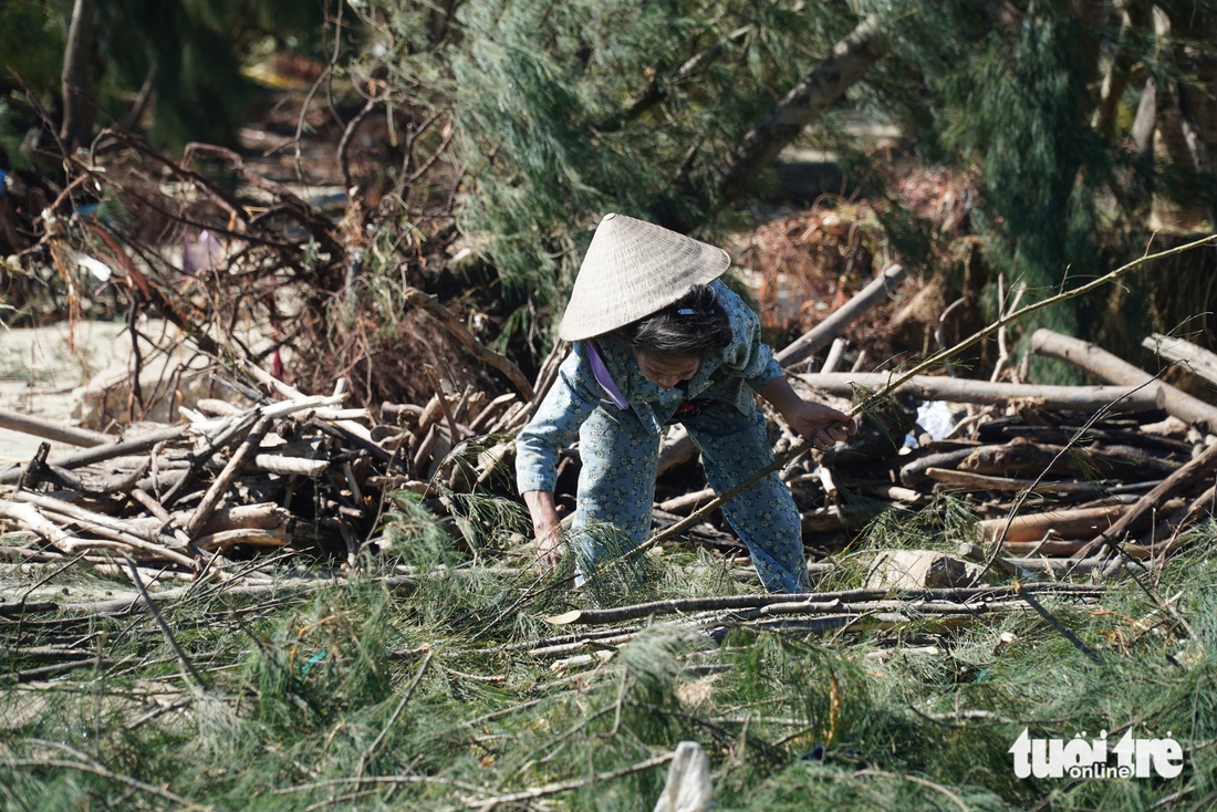 Quảng Ngãi - Ảnh 10.