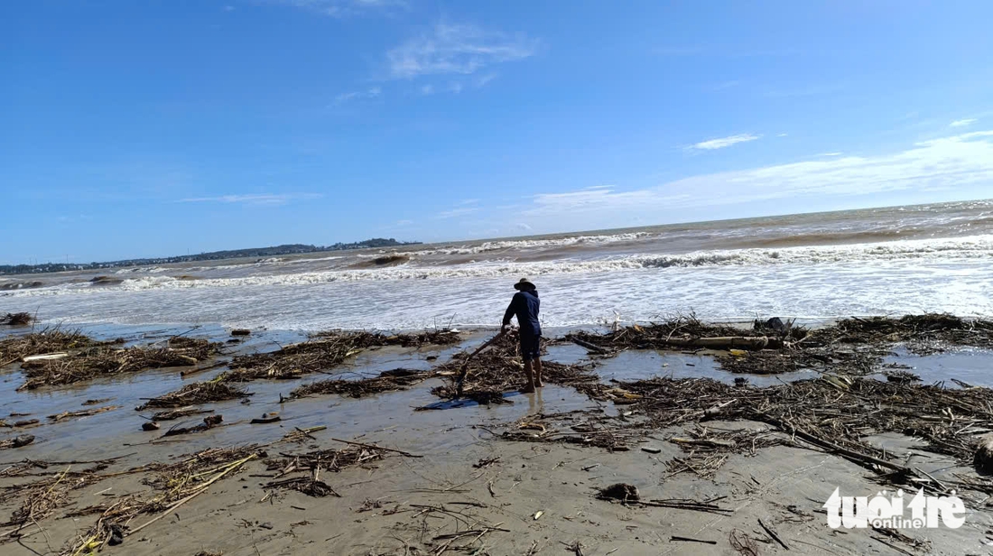 Quảng Ngãi - Ảnh 11.