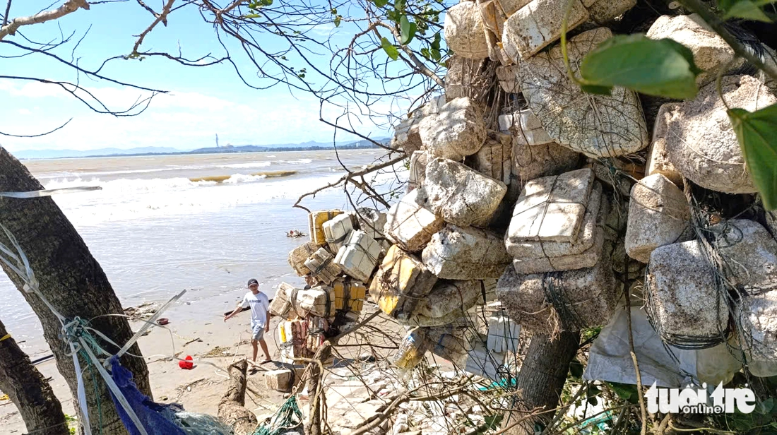 Quảng Ngãi - Ảnh 5.