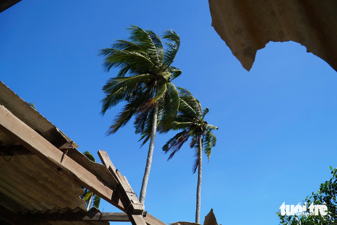 Quảng Ngãi - Ảnh 6.