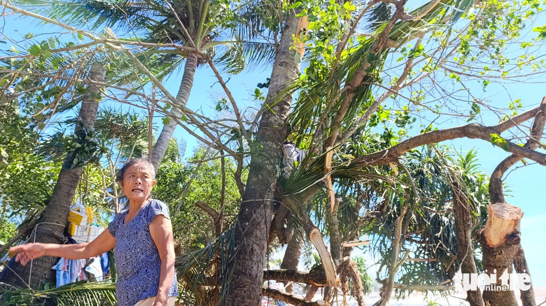 Quảng Ngãi - Ảnh 7.