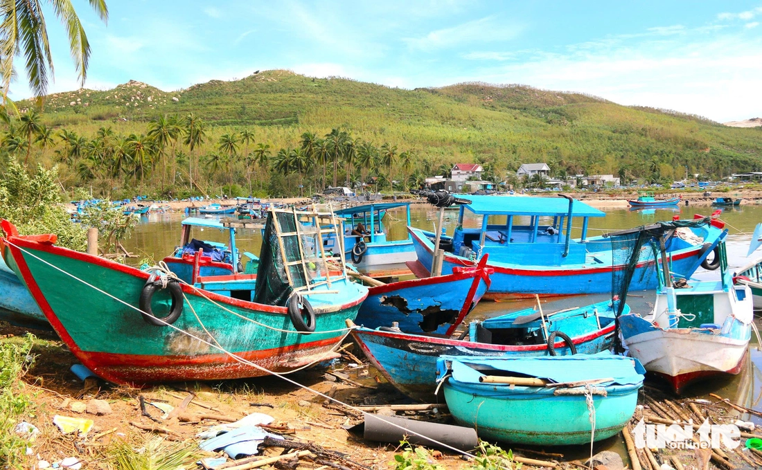 Xót xa cảnh hàng chục chiếc tàu cá tan nát, 'dồn cục' sau bão Kalmaegi- Ảnh 4. Đắk Lắk - Ảnh 4.