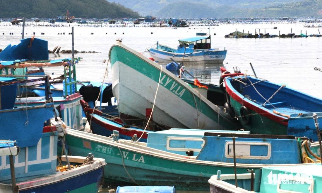 Xót xa cảnh hàng chục chiếc tàu cá tan nát, 'dồn cục' sau bão Kalmaegi- Ảnh 6. Đắk Lắk - Ảnh 6.