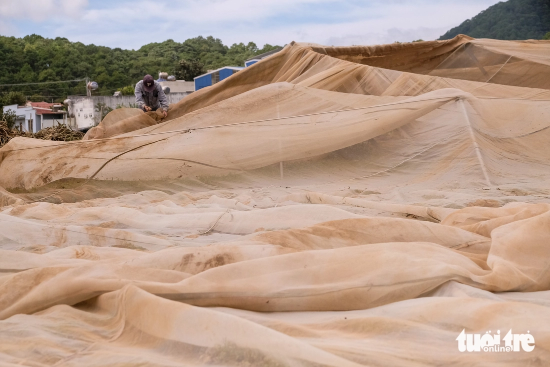 Xót xa hình ảnh vùng rau lớn nhất Lâm Đồng tan hoang sau lũ dữ - Ảnh 3.