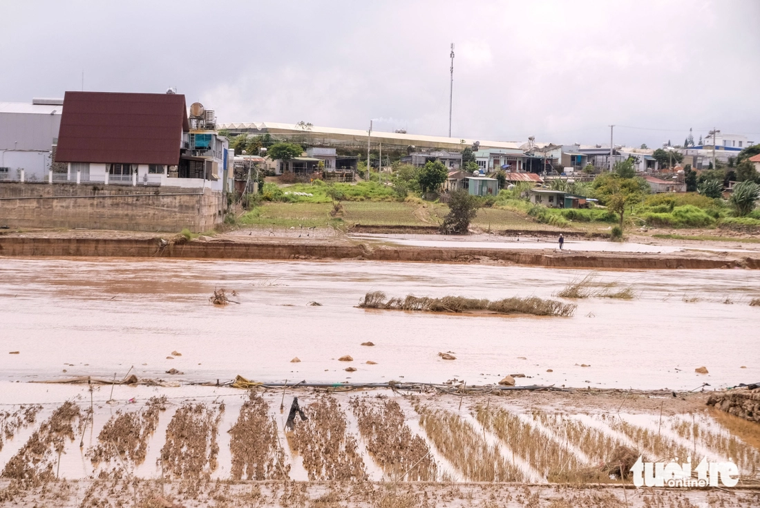 Xót xa hình ảnh vùng rau lớn nhất Lâm Đồng tan hoang sau lũ dữ - Ảnh 5.