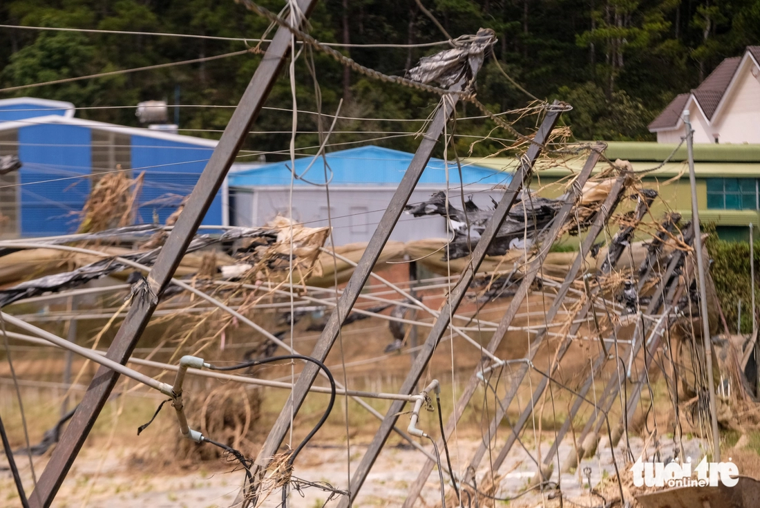 Xót xa hình ảnh vùng rau lớn nhất Lâm Đồng tan hoang sau lũ dữ - Ảnh 7.