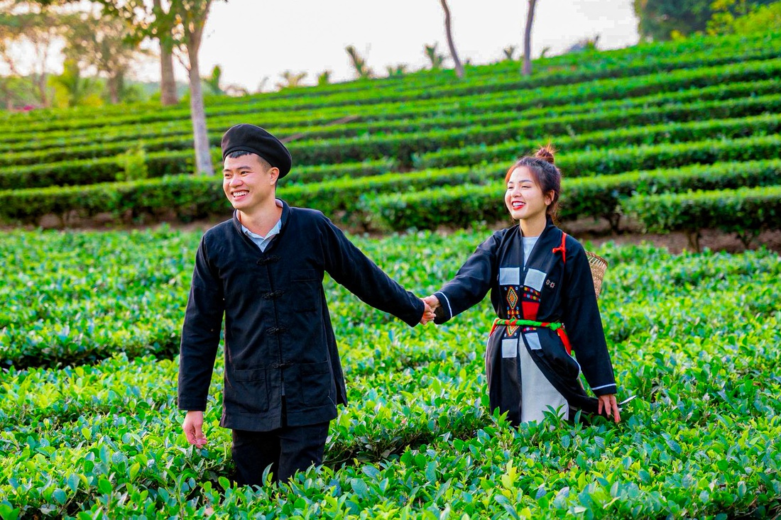 chè xanh - Ảnh 1.