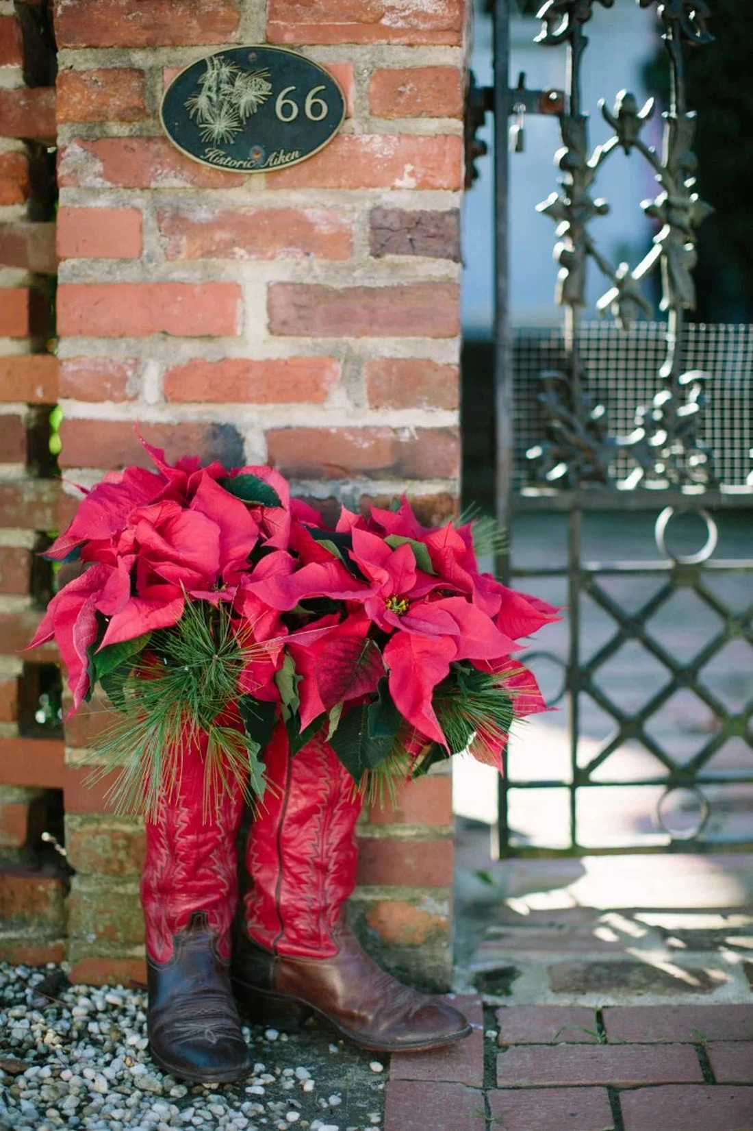 Giáng sinh - Ảnh 2.