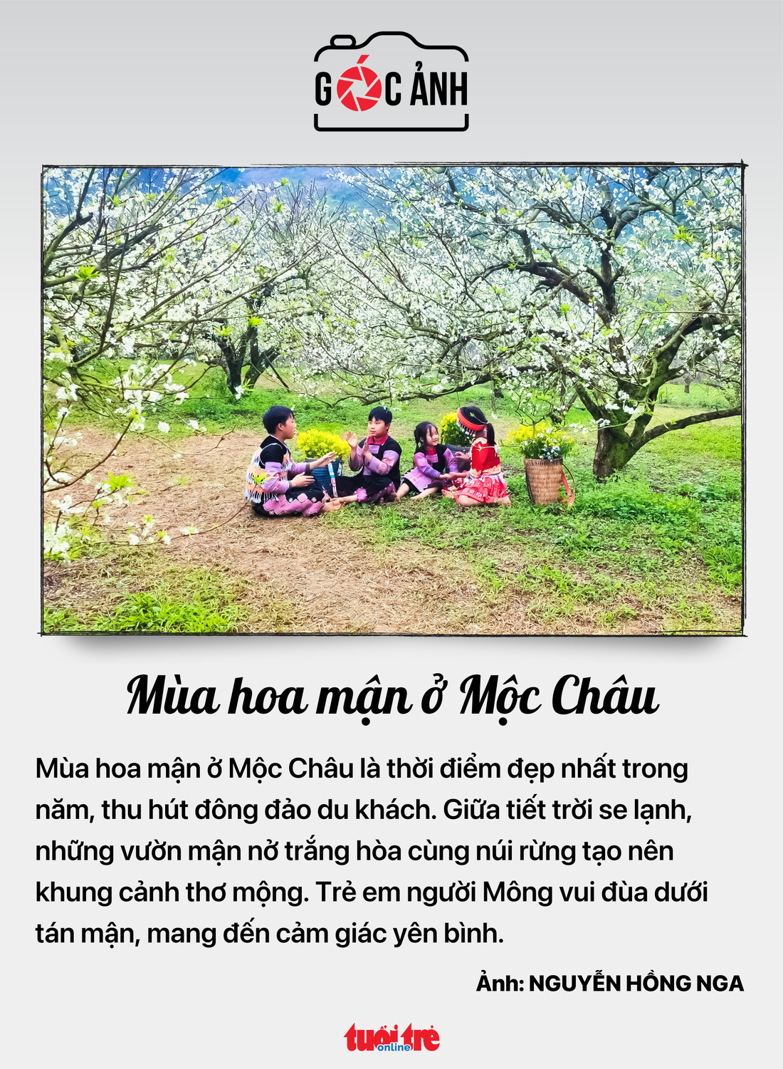 nộp thêm giấy tờ - Ảnh 6.