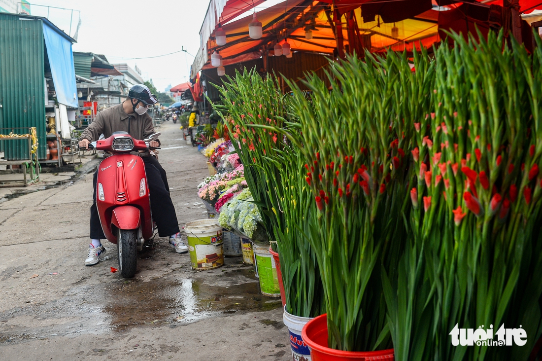 Chơi hoa sớm đón Tết, mộc lan được săn tìm tại Hà Nội - Ảnh 8. mộc lan - Ảnh 7.