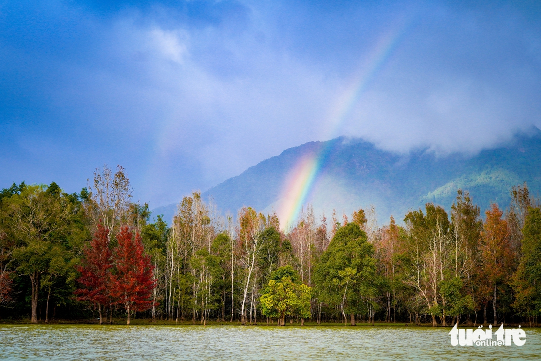 phong hương - Ảnh 3.