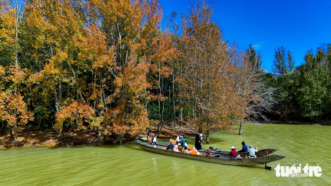 phong hương - Ảnh 4.