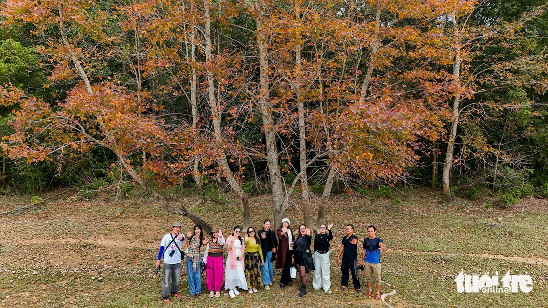 phong hương - Ảnh 5.