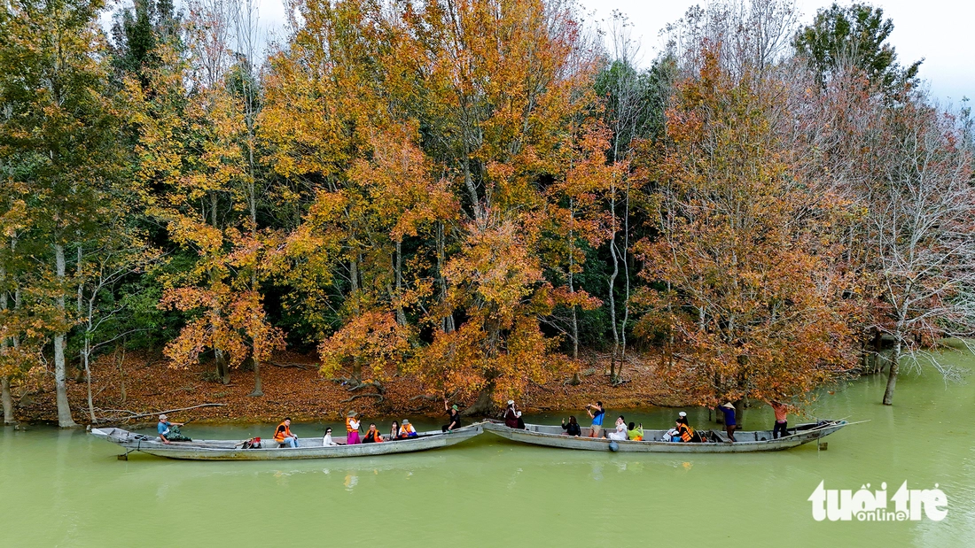 phong hương - Ảnh 6.