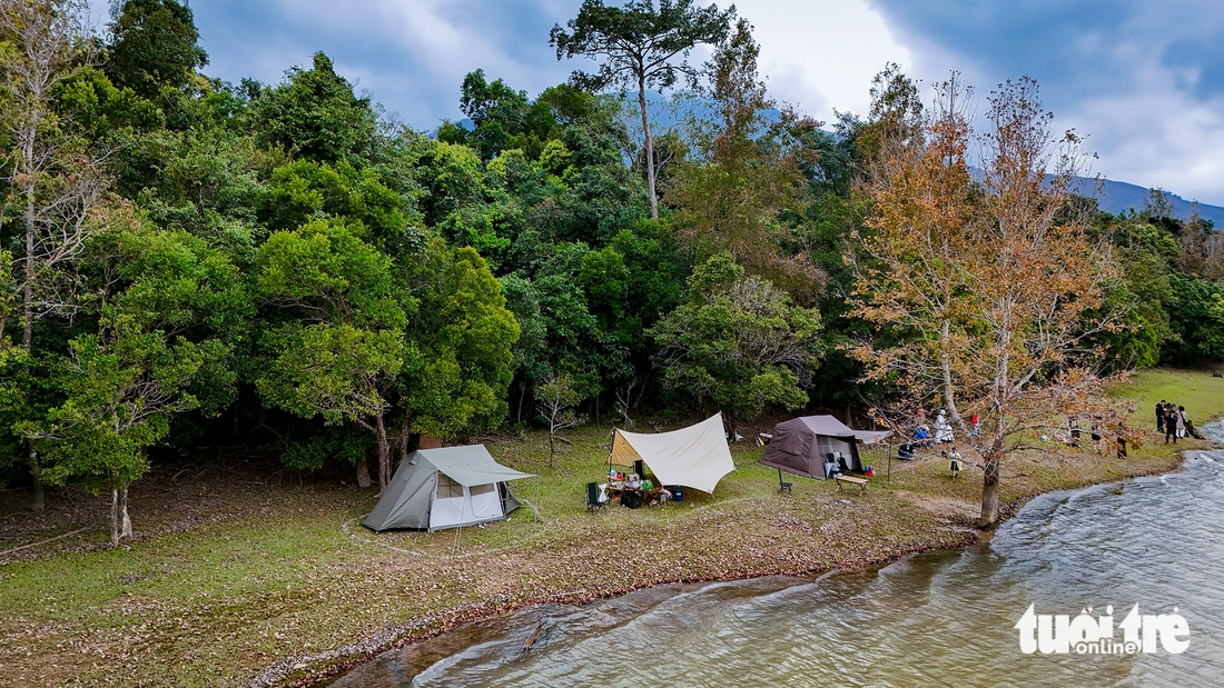 phong hương - Ảnh 7.