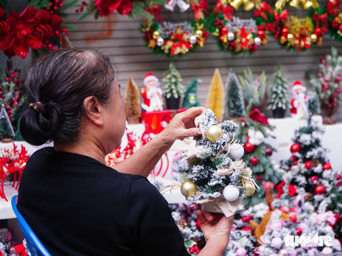 Phố phường Hà Nội rực rỡ sắc màu, người trẻ 'lên phố' đón Giáng sinh sớm - Ảnh 13.