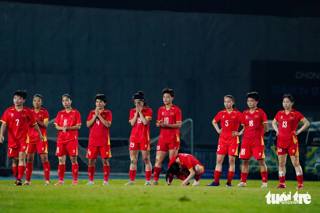 việt nam - Ảnh 2.