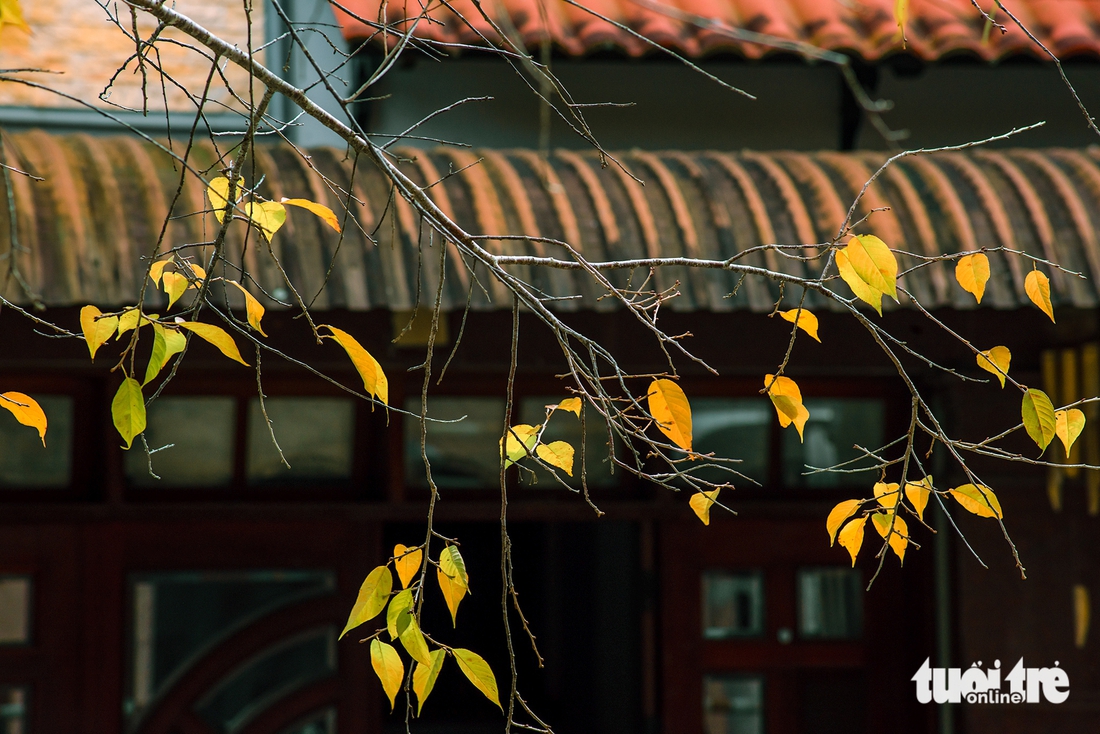 Đà Lạt - Ảnh 1.