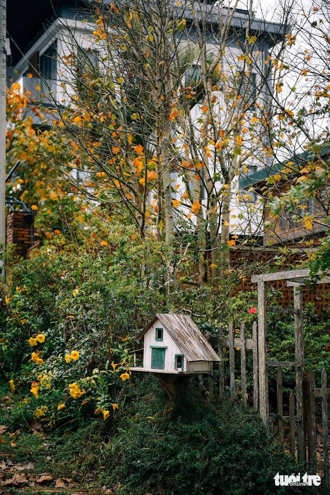 Đà Lạt - Ảnh 4.